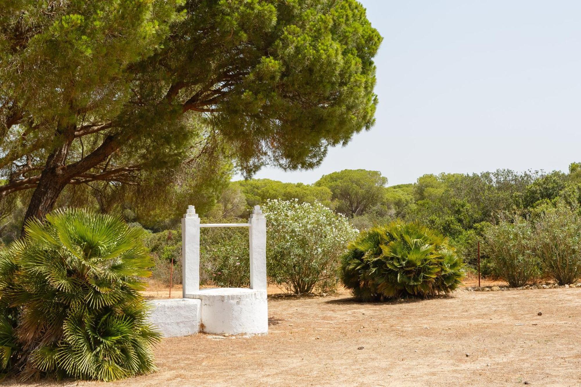 Casa Dehesa De Las Yeguas Cadiz Luaran gambar